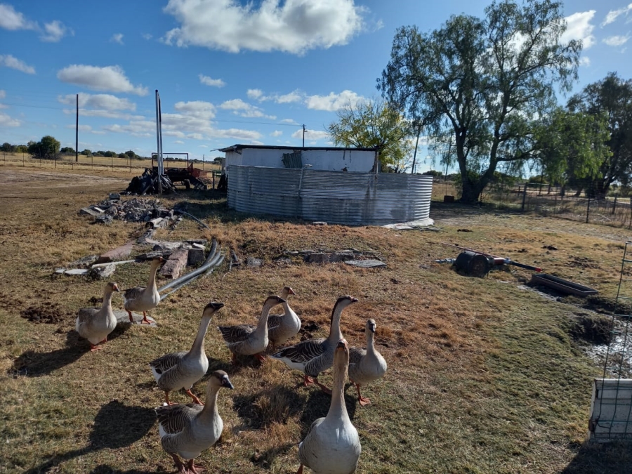 4 Bedroom Property for Sale in Reivilo Rural North West